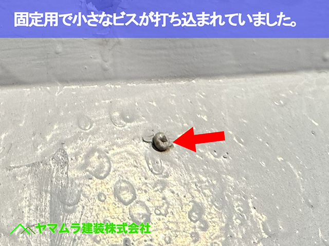 06.東海市 屋根修理 固定用で小さなビスが打ち込まれていました。