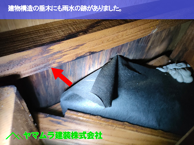 04.知多市 屋根点検 建物構造の垂木にも雨水の跡がありました。
