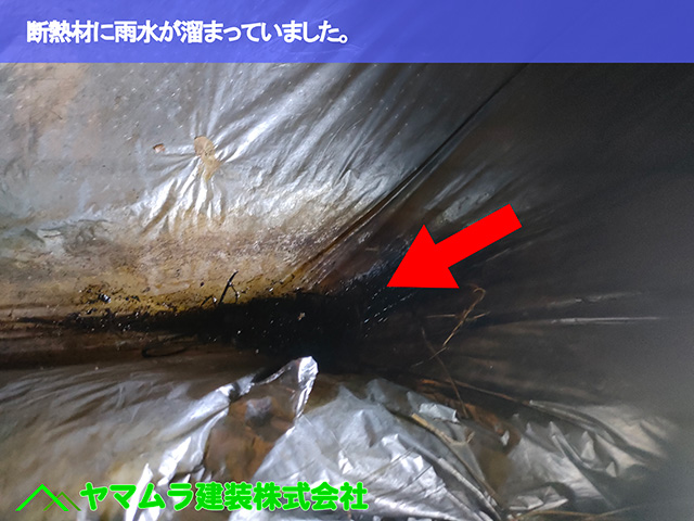06.知多市 屋根点検 断熱材に雨水が溜まっていました