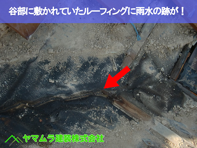 06.名古屋市瑞穂区 谷修理 谷部に敷かれていたルーフィングに雨水の跡が!