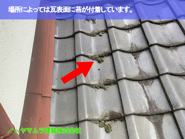 04．常滑市　点検　場所によっては瓦表面に苔が付着しています。