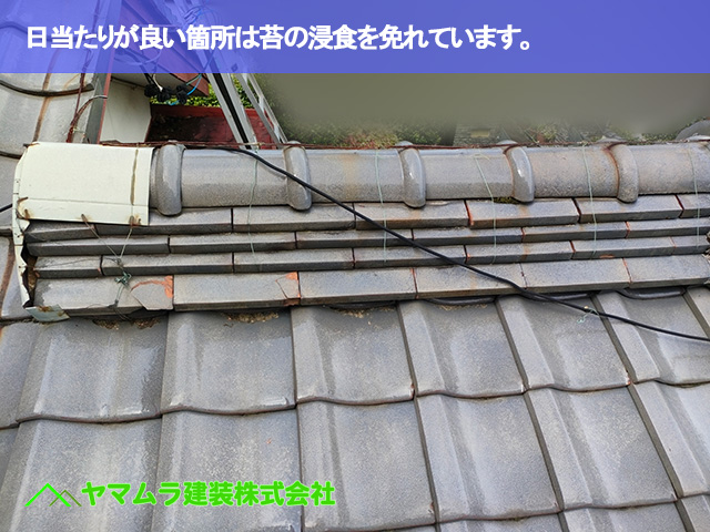 07．常滑市　点検　日当たりが良い箇所は苔の浸食を免れています。