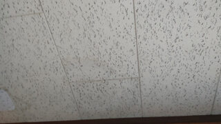 常滑市【切妻屋根点検】天井のシミの原因は以前の修理箇所か？屋根の真っ黒な汚れか！天井裏から瓦の内部まで徹底調査