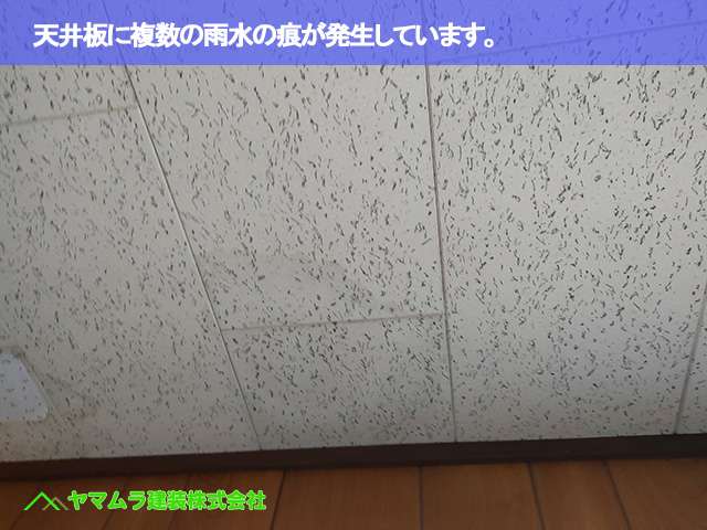 01．常滑市　点検　天井板に複数の雨水の痕が発生しています。