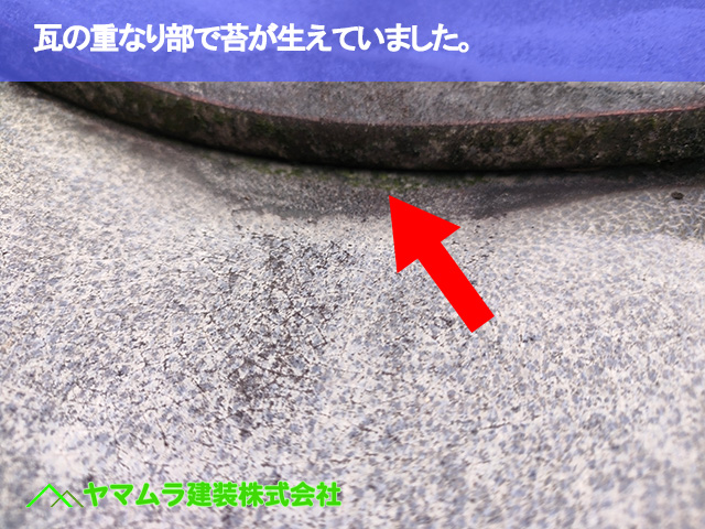 07．常滑市　点検　瓦の重なり部で苔が生えていました。