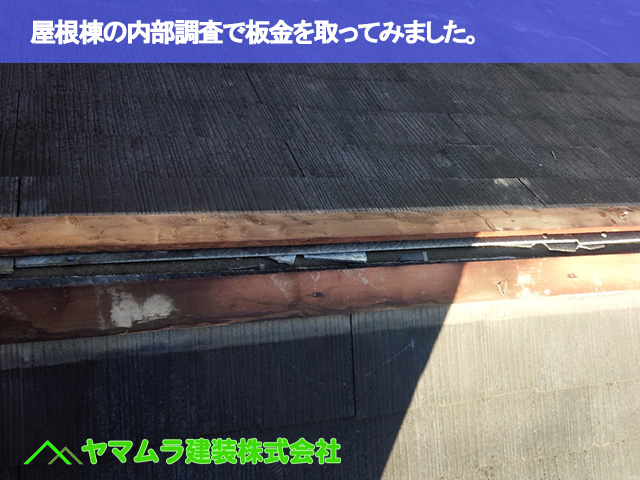 04．名古屋市昭和区　カバー工法　屋根棟の内部調査で板金を取ってみました。