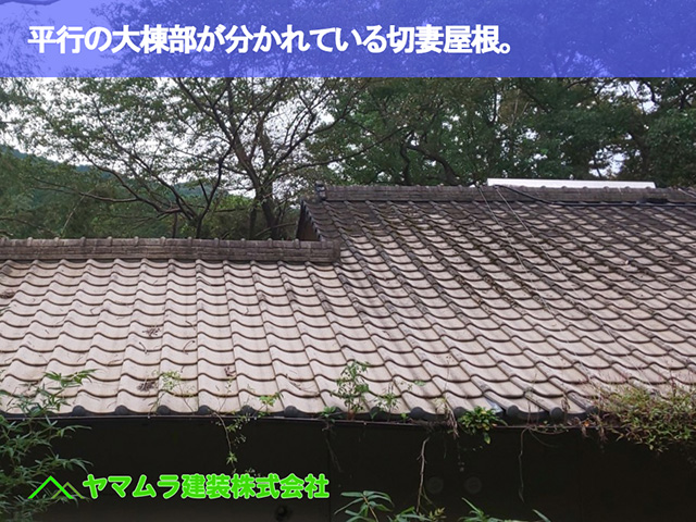 03．知多市　葺き替え　平行の大棟部が分かれている切り詰め屋根。