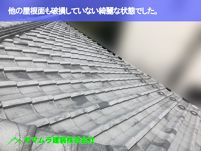03.大府市 屋根点検 他の屋根面も破損していない綺麗な状態でした。