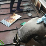 大府市　カバー工法　一階屋根のトタン屋根を取り剥がします