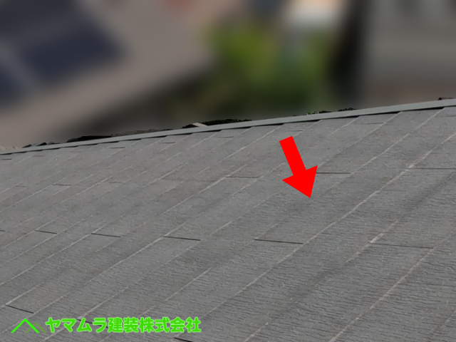 10.名古屋市港区 ベランダ雨漏り 屋根材の方も築年数は経過しているが特に雨漏りしそうな問題は無さそうです。